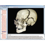 Human skeleton, musculature and apparatus of movement, Interactive CD-ROM