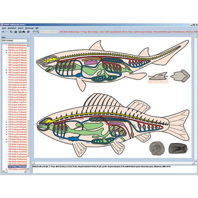 Zoology in the Classroom, Interactive CD-ROM
