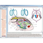 Zoology in the Classroom, Interactive CD-ROM