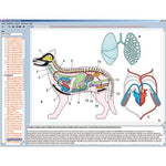 Zoology in the Classroom, Interactive CD-ROM