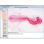 Zoology in the Classroom, Interactive CD-ROM
