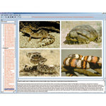 Zoology in the Classroom, Interactive CD-ROM