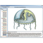 Zoology in the Classroom, Interactive CD-ROM