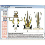 Zoology in the Classroom, Interactive CD-ROM