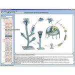 Zoology in the Classroom, Interactive CD-ROM