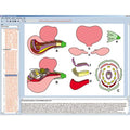 Biology of Flowers and Fruits, Interactive CD-ROM