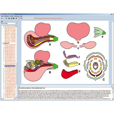 Biology of Flowers and Fruits, Interactive CD-ROM