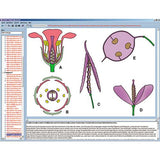 Biology of Flowers and Fruits, Interactive CD-ROM