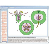 Biology of Flowers and Fruits, Interactive CD-ROM