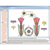 Biology of Flowers and Fruits, Interactive CD-ROM