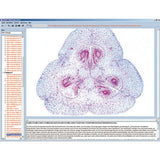 Biology of Flowers and Fruits, Interactive CD-ROM