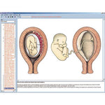 Embryology and Development of Animals, CD-ROM