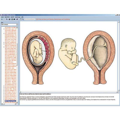 Embryology and Development of Animals, CD-ROM