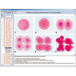 Embryology and Development of Animals, CD-ROM