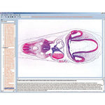 Embryology and Development of Animals, CD-ROM