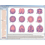 Embryology and Development of Animals, CD-ROM