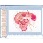 Embryology and Development of Animals, CD-ROM