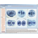Embryology and Development of Animals, CD-ROM