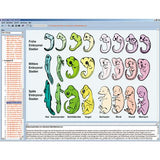 Evolution in Examples, CD-ROM