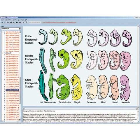 Evolution in Examples, CD-ROM