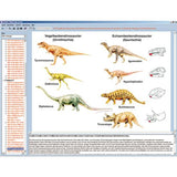 Evolution in Examples, CD-ROM