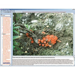 Evolution in Examples, CD-ROM