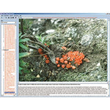 Evolution in Examples, CD-ROM