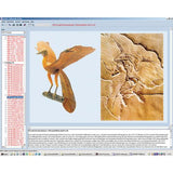 Evolution in Examples, CD-ROM