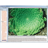 Evolution in Examples, CD-ROM