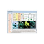 CD-ROM The Structure of Matter Part II. Minerals, Rocks and Stones