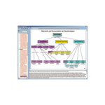 CD-ROM The Structure of Matter Part II. Minerals, Rocks and Stones