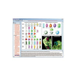 CD-ROM The Structure of Matter Part II. Minerals, Rocks and Stones