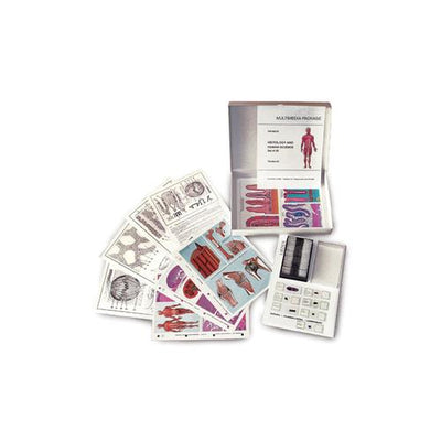 MULTIMEDIA TEACHER PACKAGE Bacteria Basic Package of 6 items