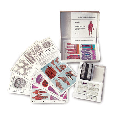 MULTIMEDIA TEACHER PACKAGE Bacteria Basic Package of 6 items