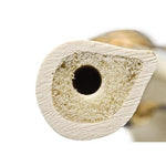 ORTHObones Premium Right Tibia