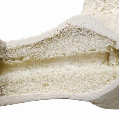 ORTHObones Premium Sacrum