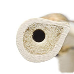 ORTHObones Premium Right Humerus