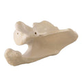 ORTHObones Premium Scapula - Left