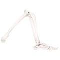 Spare leg (not painted), right, for A10, A10/1, A11, A11/1 and A15