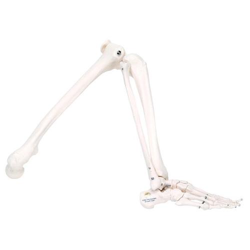Spare leg (not painted), right, for A10, A10/1, A11, A11/1 and A15