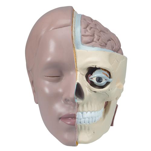 Spare head, 2 parts
