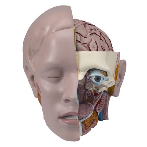 Spare head, 3 parts