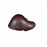 Spare liver with gallbladder