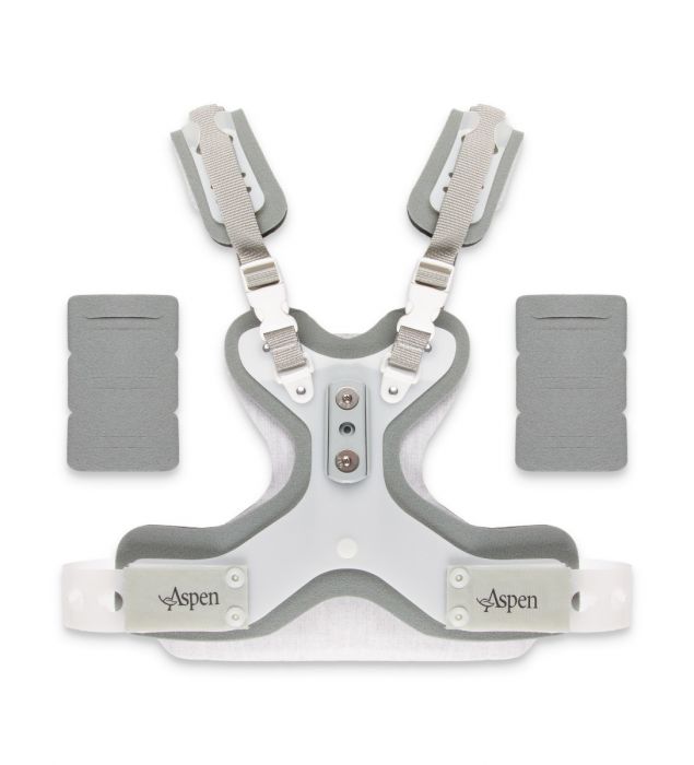 Aspen CTO Vest