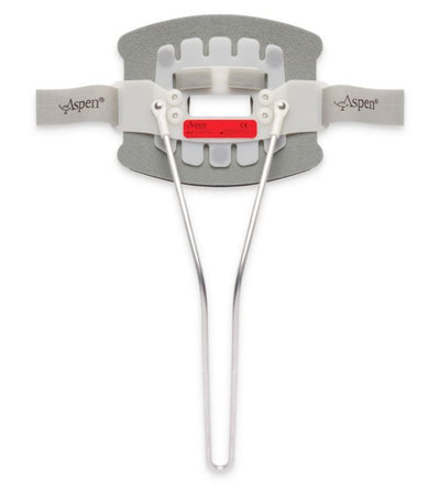 Aspen CTO Back Panel - Small