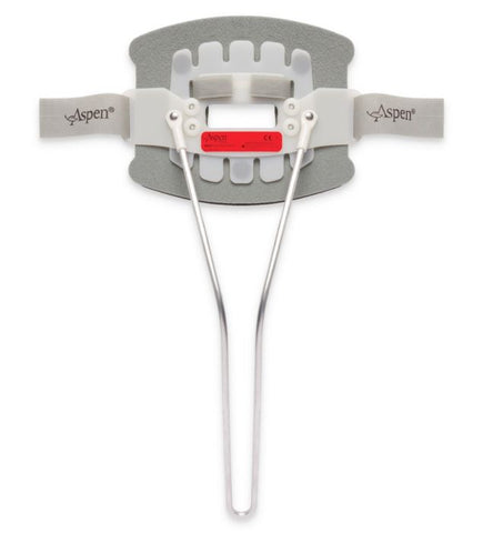 Aspen CTO Back Panel - Small