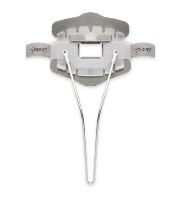 Aspen CTO Back Panel - Standard