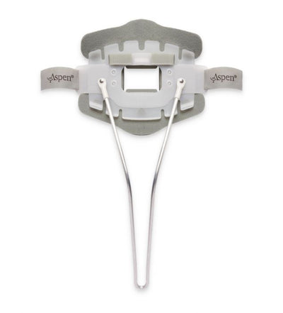 Aspen CTO Back Panel - Standard