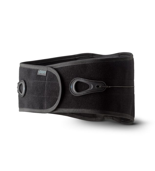 Aspen Lumbar Support