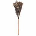 30 Feather Duster 1 EA